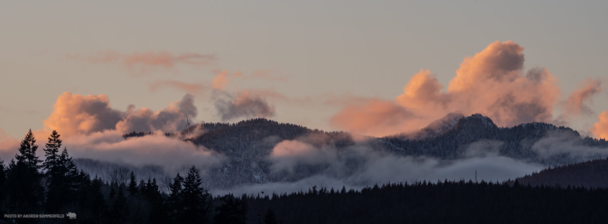 Good Evening, Seymour