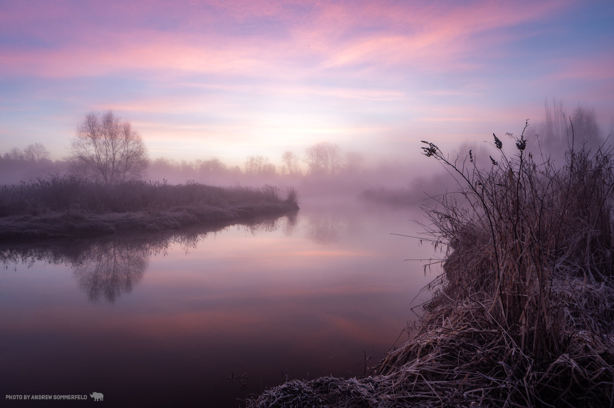 Good Morning, Burnaby Lake