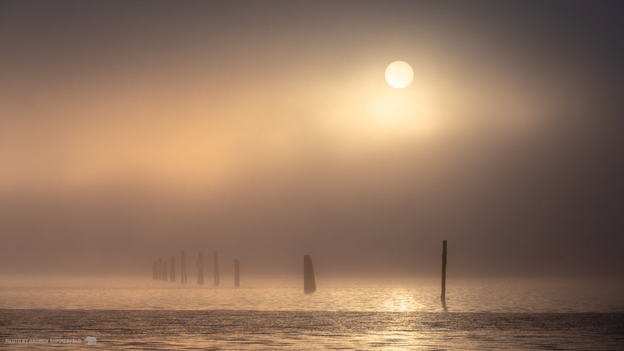 Good Morning, Foggy Flats