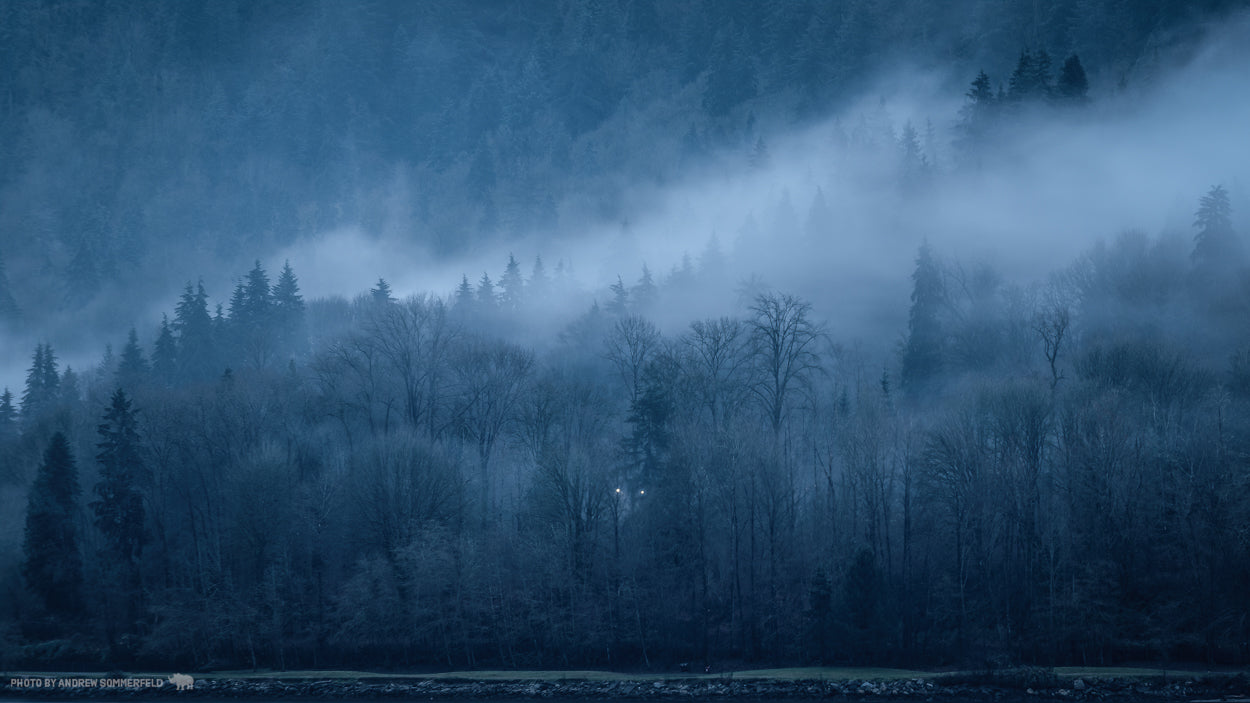 Good Morning, Foggy Mood