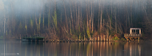 Good Morning, Old Mill Fogbreak