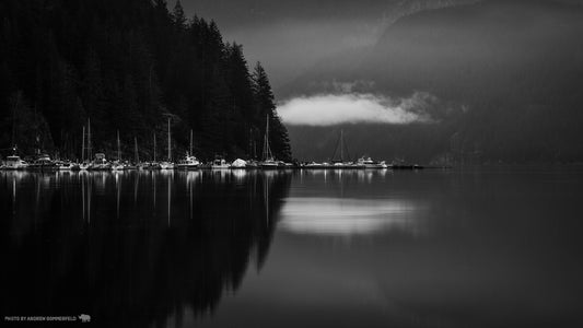 Good Morning, Stillness