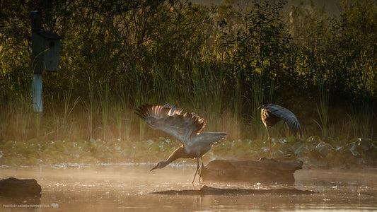 Good Morning, Stretch