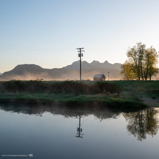 Good Morning, Wirehouse