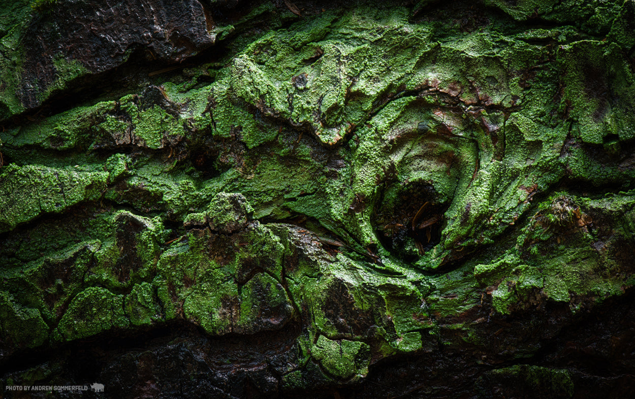 Green Puzzle