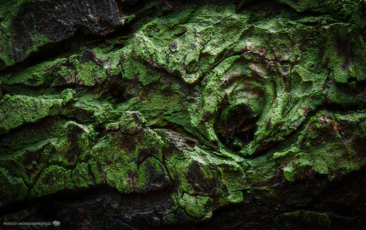 Green Puzzle
