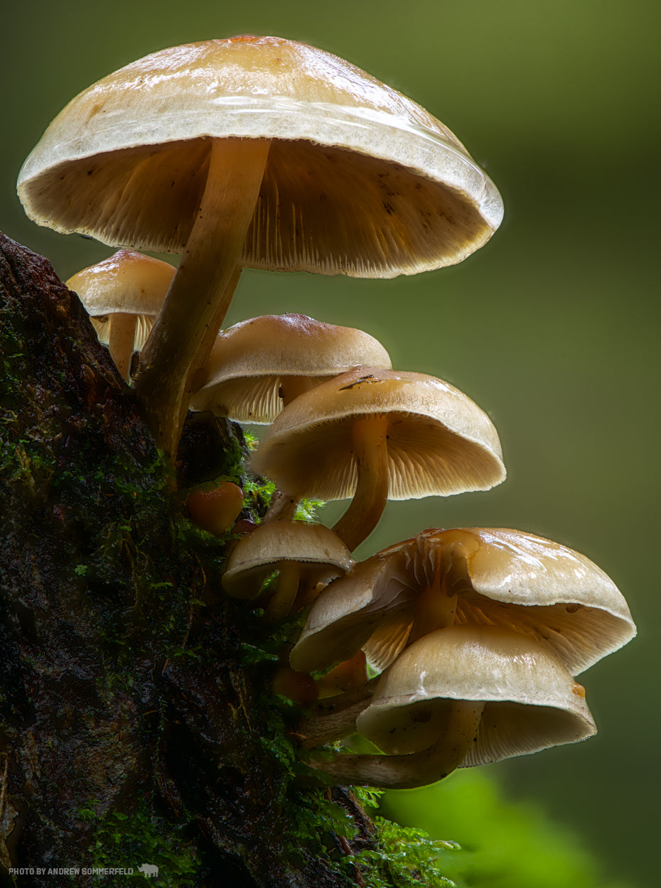 Sheltered