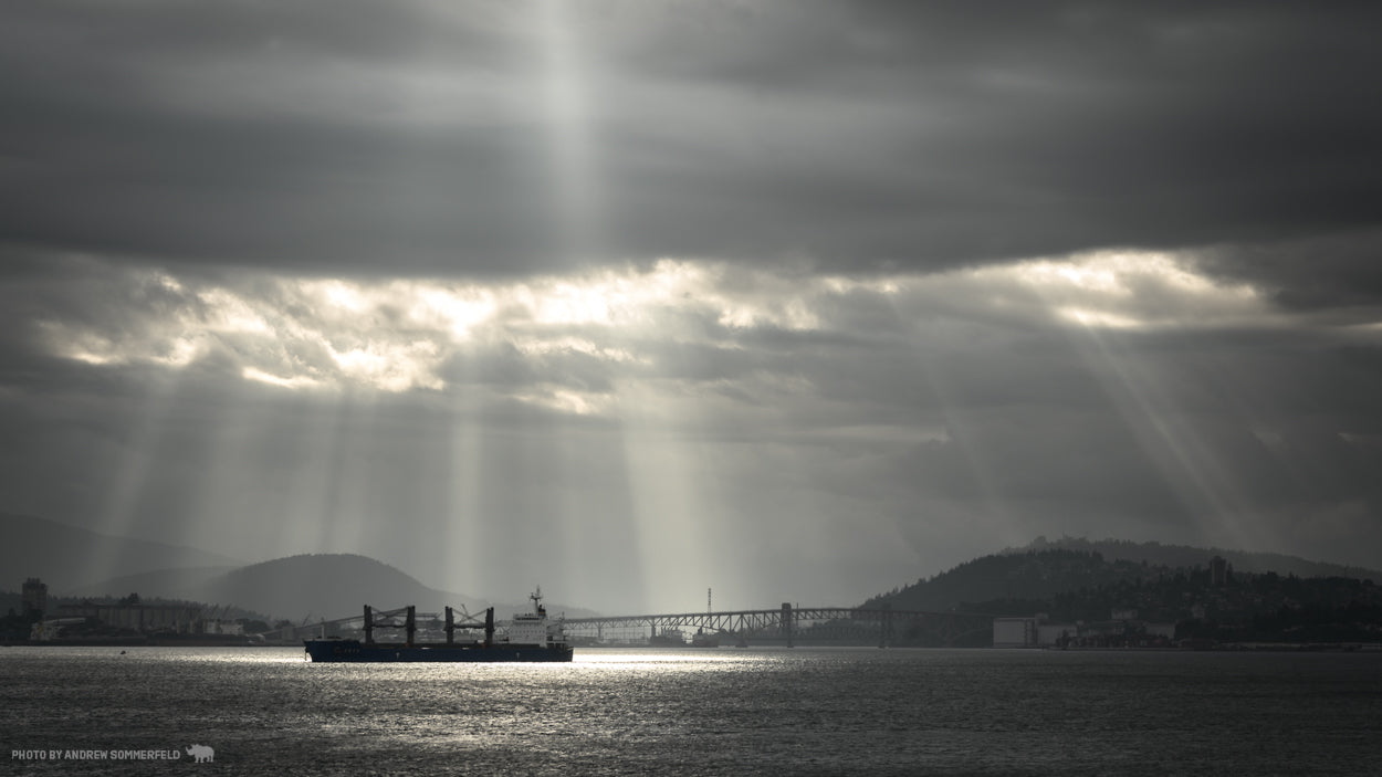 Spotlights